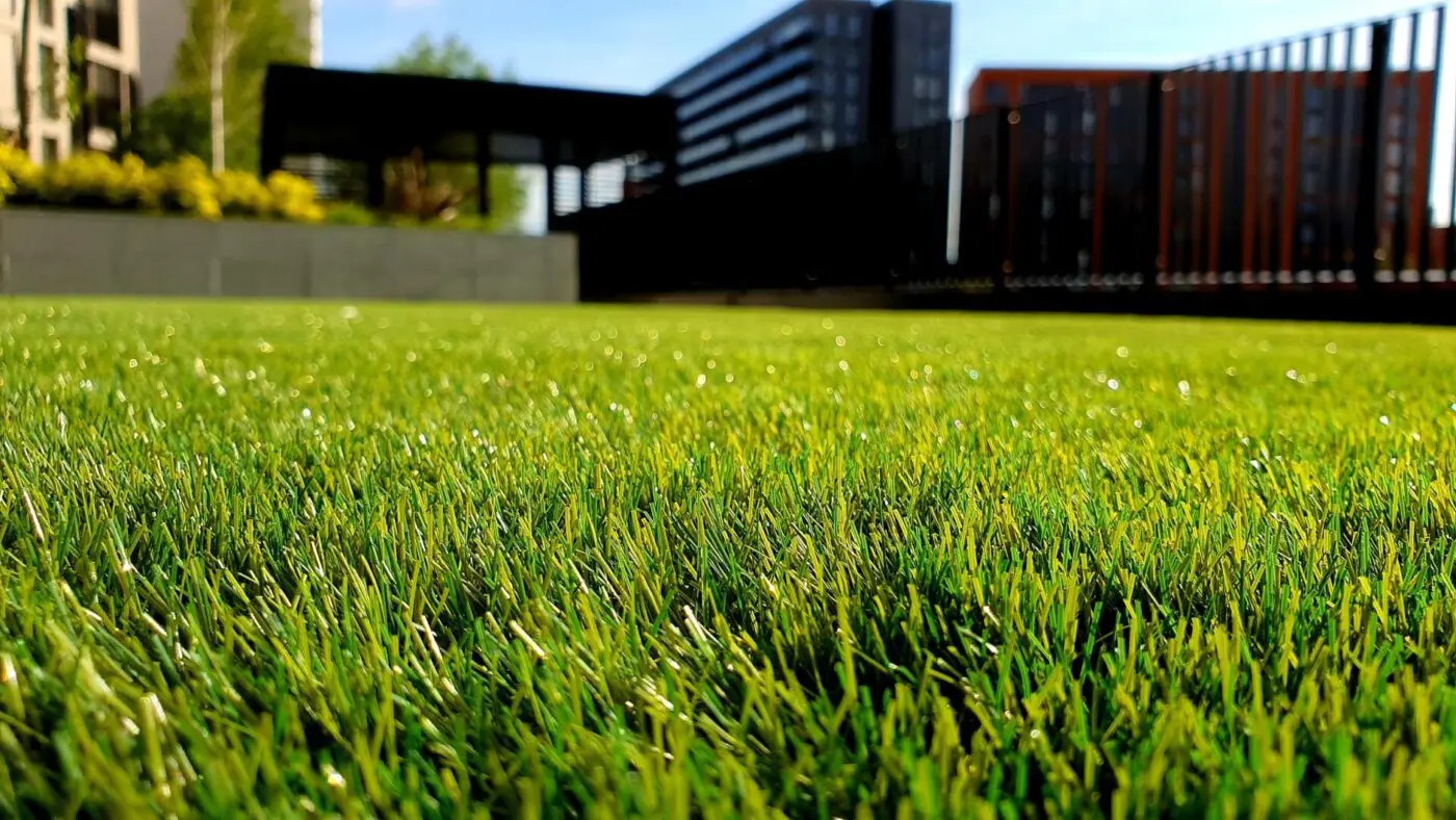 Close-up shot of a lush, green lawn with blades of grass glistening in the sunlight. In the background, there are modern buildings and a fence. The setting appears to be an urban park in Palm Springs, CA, ideal for playground turf installations on a bright, clear day.