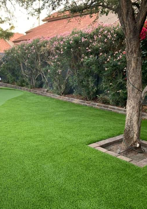 this freshly installed artificial turf for pets in Palm Springs will surely be a treat for the most active dogs