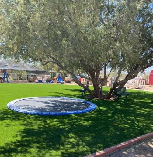 public play turf in Palm Springs CA designed and installed by Coachella Valley Turf